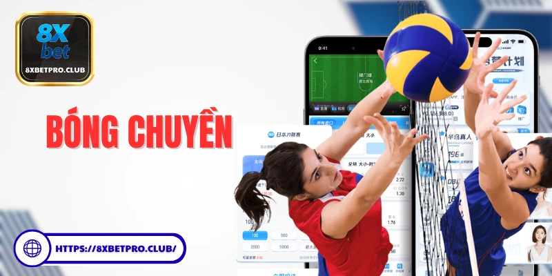 Hướng dẫn chi tiết cách tham gia cá cược bóng chuyền tại 8xbet dành cho người mới bắt đầu